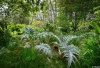 Dimanches au Jardin-Forêt