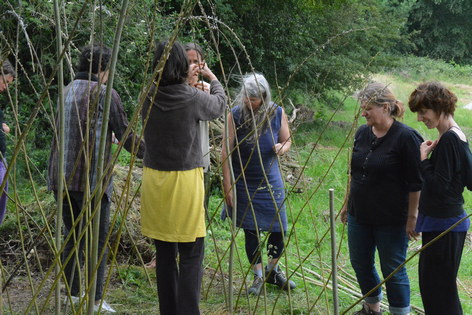 clôture saule avec femmes