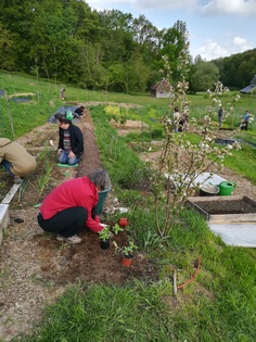 travaux de printemps au potager