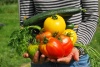 Les Mardis au Jardin Potager